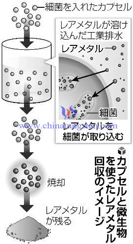 日本回收稀有金属流程图